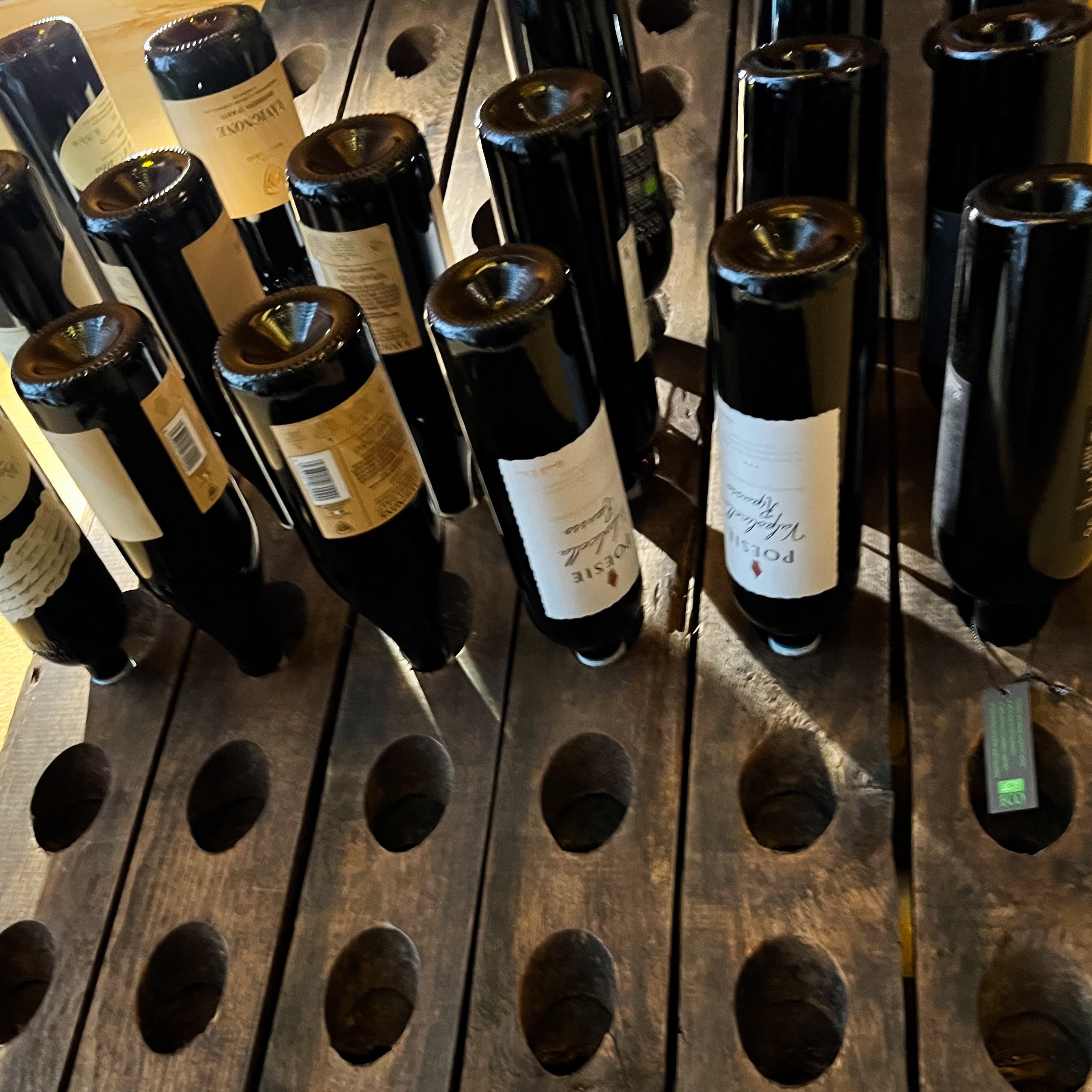 Wein im Wald – Von Copain de Vin™ 